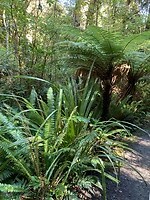 IMG_3890