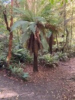 IMG_3892