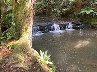 IMG_3894