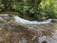IMG_3904