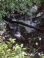 IMG_3903