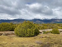 IMG_6175