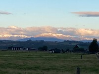 IMG_3934