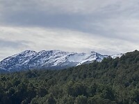 IMG_3945