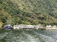 IMG_3957