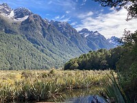 IMG_3952