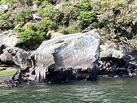 IMG_4018