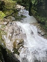 IMG_4055