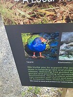 IMG_4079