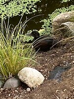 IMG_4062