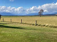 IMG_4084