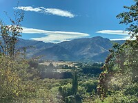 IMG_6266