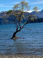 IMG_6286