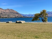 IMG_6299