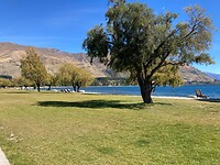 IMG_6300