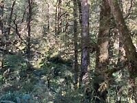 IMG_6322