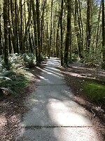 IMG_6328