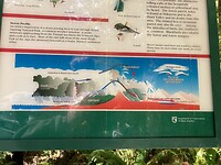 IMG_6331