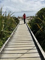 IMG_6343