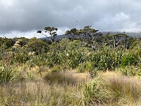 IMG_6344
