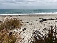 IMG_6345