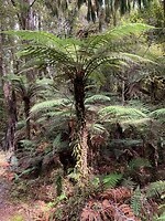 IMG_4159