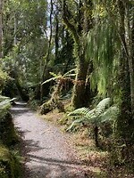 IMG_4163