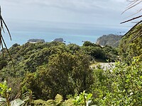 IMG_4170