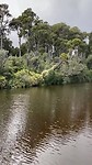 IMG_4157