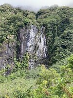 IMG_4185
