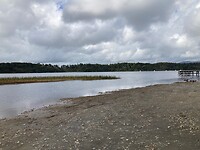 IMG_4211