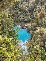 IMG_4219