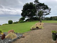 IMG_6393