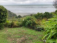 IMG_6392
