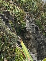 IMG_4253