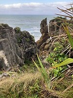 IMG_4278