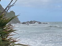 IMG_4361