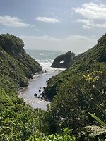 IMG_4370