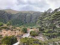IMG_4416
