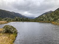 IMG_4408