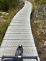 IMG_6436