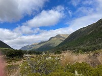 IMG_6439