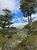 IMG_6438