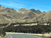 IMG_6449