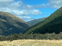 IMG_6443