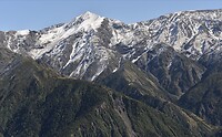 IMG_1341
