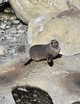 IMG_1349