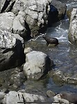 IMG_1348