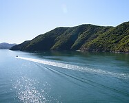 IMG_1352