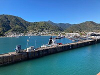 IMG_4548